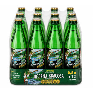 Упаковка минеральной сильногазированной воды «Поляна Квасова» 0,5 л скло × 12 бутылок (4820001830033) (0127)