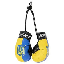 Перчатки Боксерские Ukraine 10см (18")  Желто-синий 6 пар/упаковка (067y)