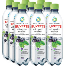 Упаковка напитка Buvette безалкогольного сокосодержащего Vitamin Water со вкусом черной смородины и мяты негазированный 0.5 л 9 шт (4820115401914) (066r)